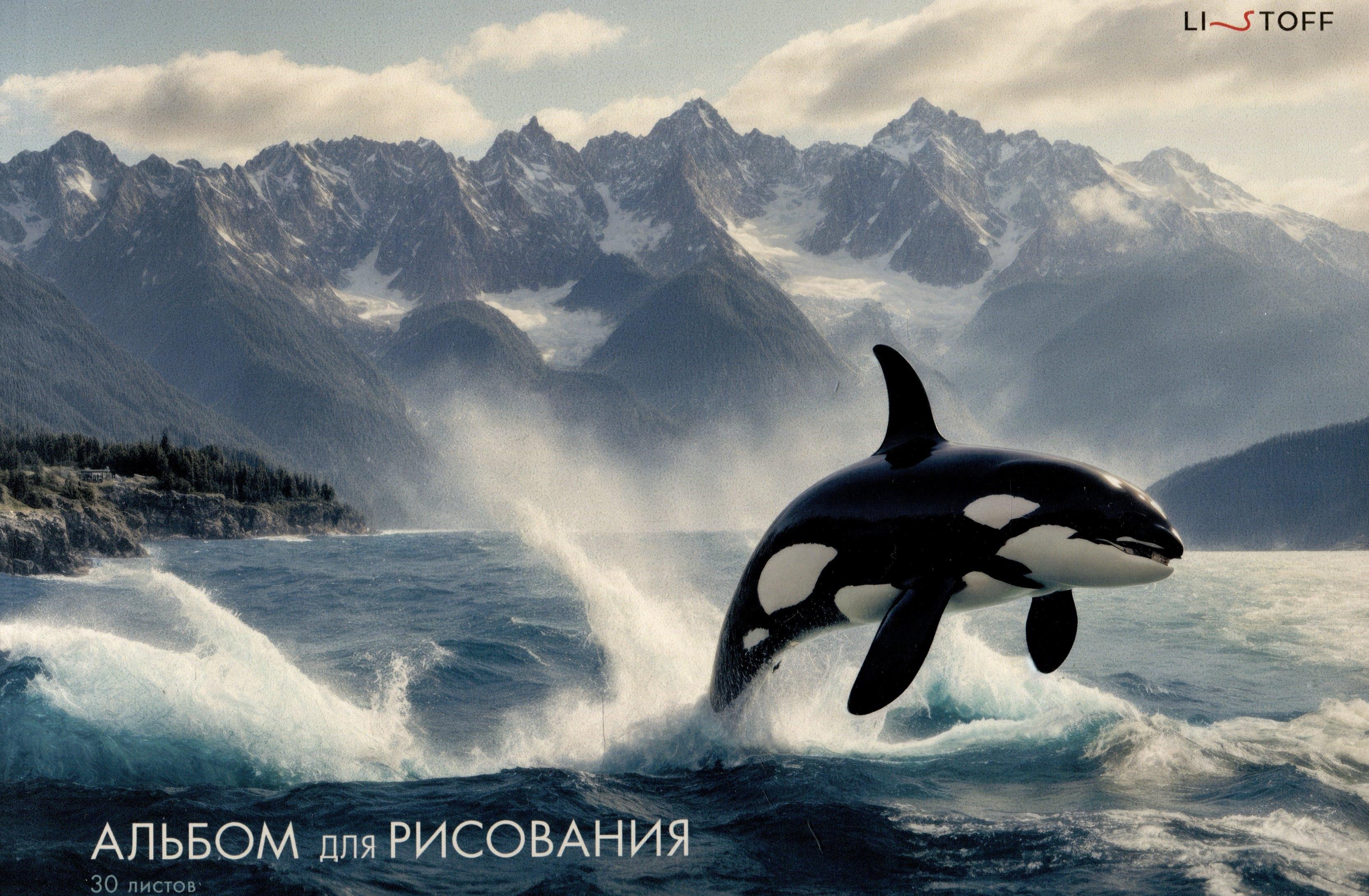 https://ndc.book24.ru/pim/products/images/a1/53/0196a63e-6e3e-7628-82e1-5938851ea153.jpg