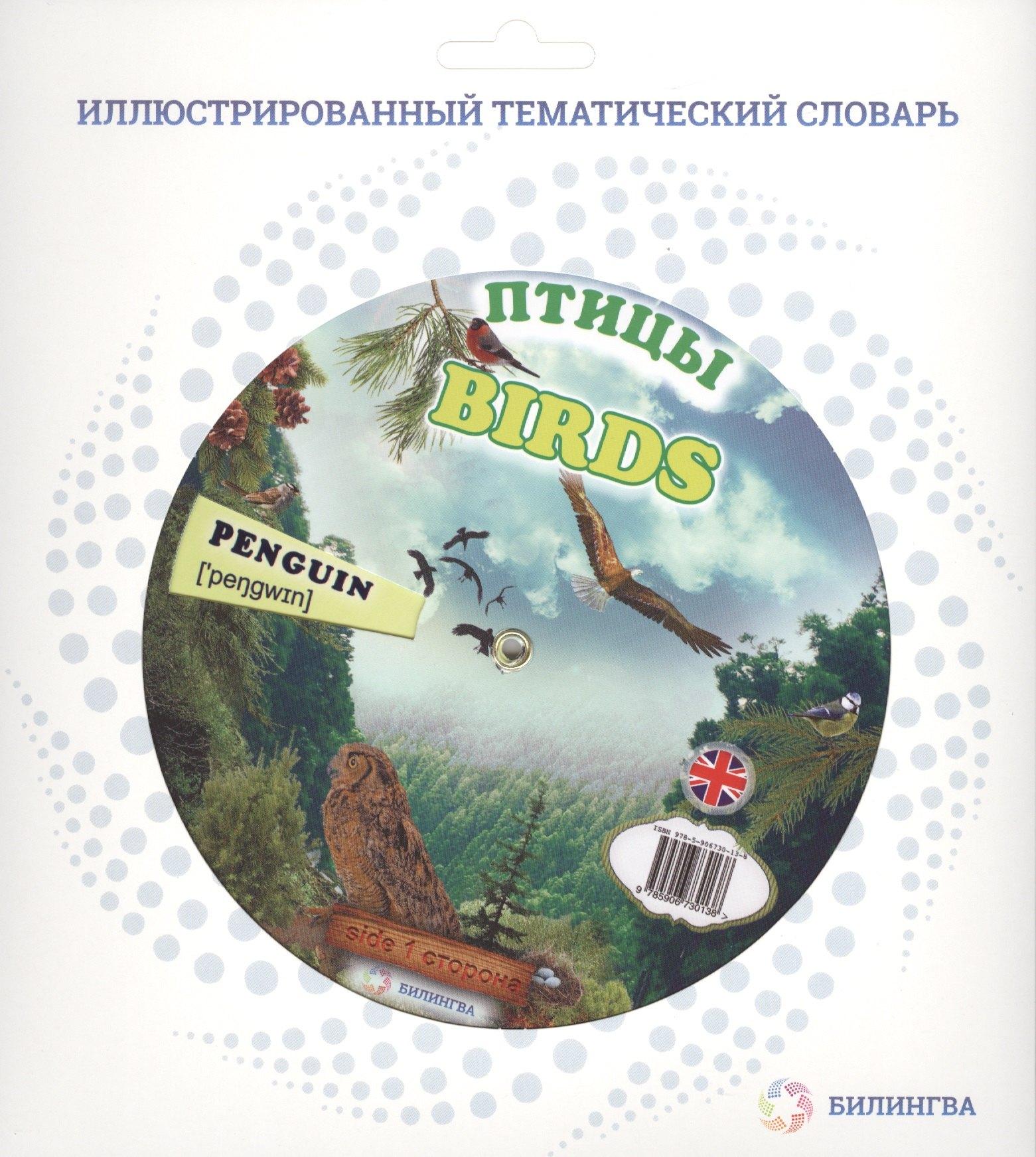 Билингва | Тематический словарь BIRDS (Птицы).