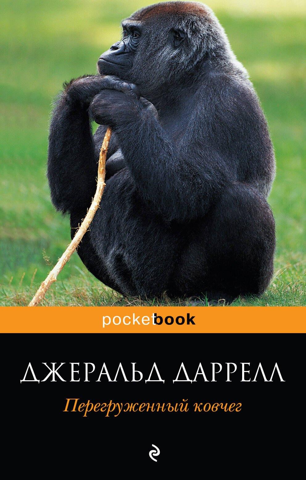 https://ndc.book24.ru/pim/products/images/a2/be/0199e878-b855-77cc-9eb8-2afed4bba2be.jpg