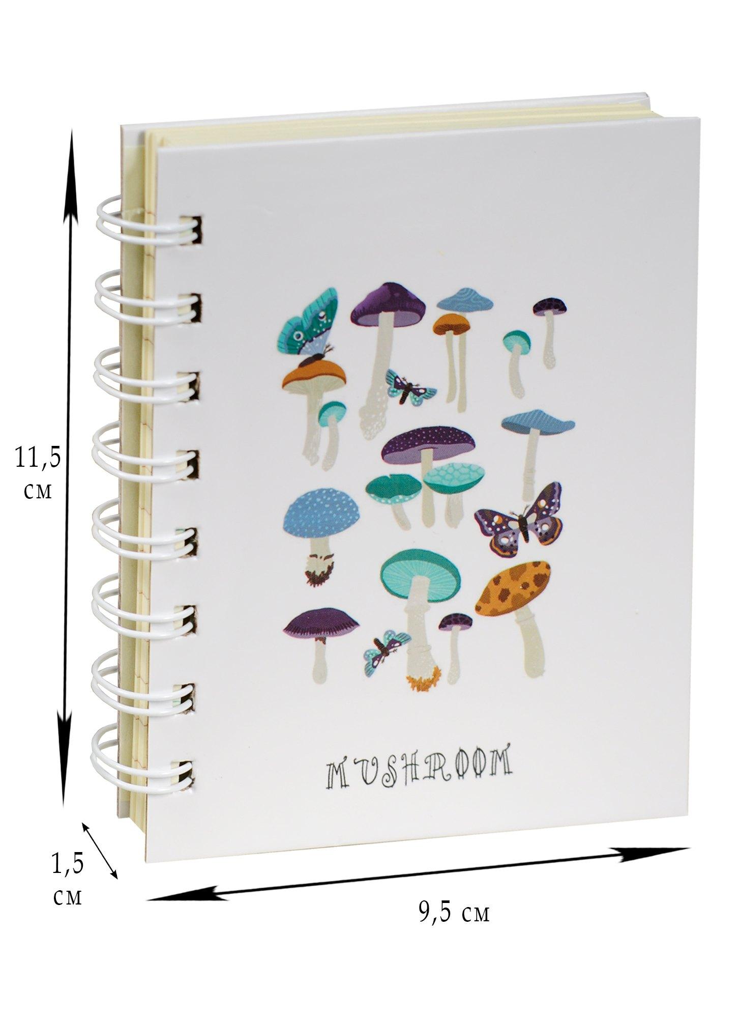 https://ndc.book24.ru/pim/products/images/a4/3c/018ed31d-6b08-79f4-be1f-b46b3965a43c.jpg