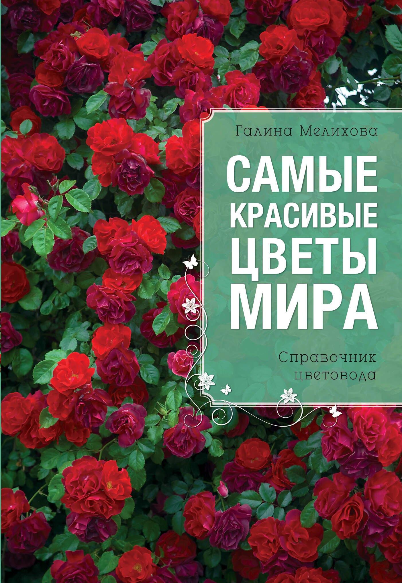 https://ndc.book24.ru/pim/products/images/a6/cc/0193914c-8d18-739f-8a33-824ff16ba6cc.jpg