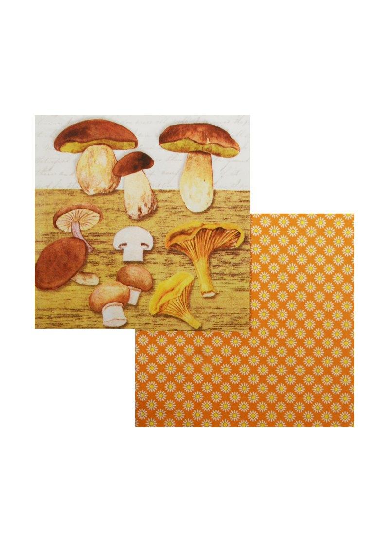 https://ndc.book24.ru/pim/products/images/a7/51/018edaab-26b0-7b75-98b9-862bedd7a751.jpg