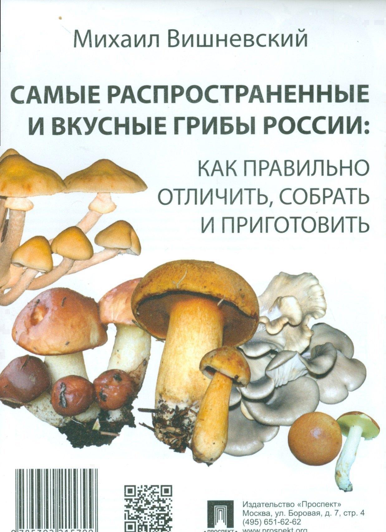Проспект | Самые распространенные и вкусные грибы России: как правильно отличить, собрать и приготовить.