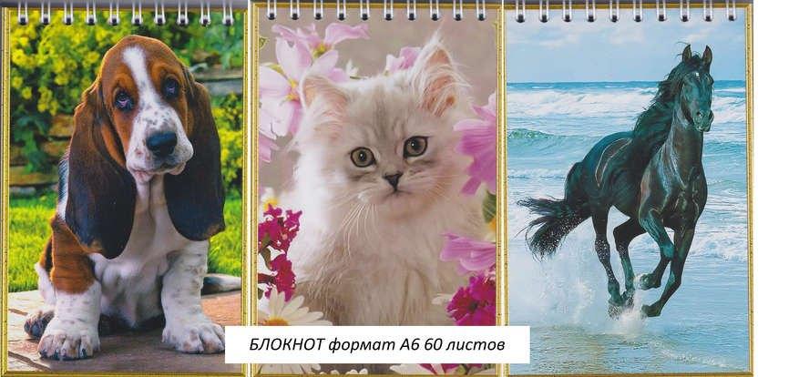 https://ndc.book24.ru/pim/products/images/ac/c4/018ed3d9-a6a1-7d61-8a89-50ae6b76acc4.jpg