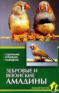 Аквариум | Зебровые и японские амадины. Содержание. Кормление. Разведение