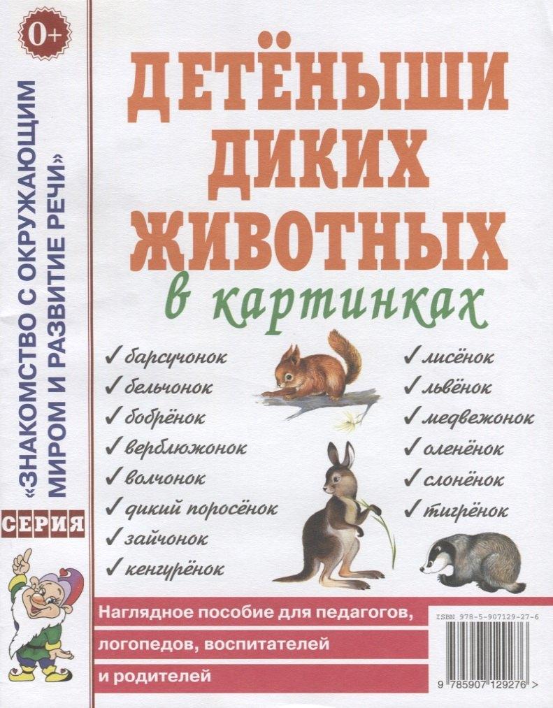 https://ndc.book24.ru/pim/products/images/b3/49/018ee2a2-b293-7e94-921a-73e6219db349.jpg