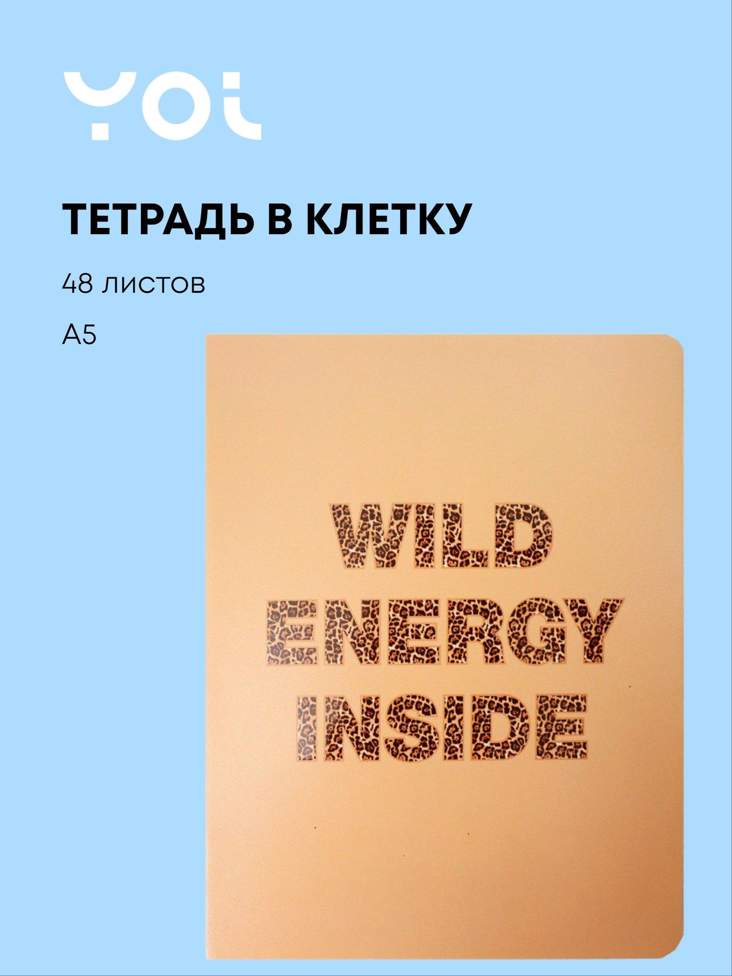 https://ndc.book24.ru/pim/products/images/b3/72/019ae5a5-8437-78b5-a763-cc175b4ab372.jpg