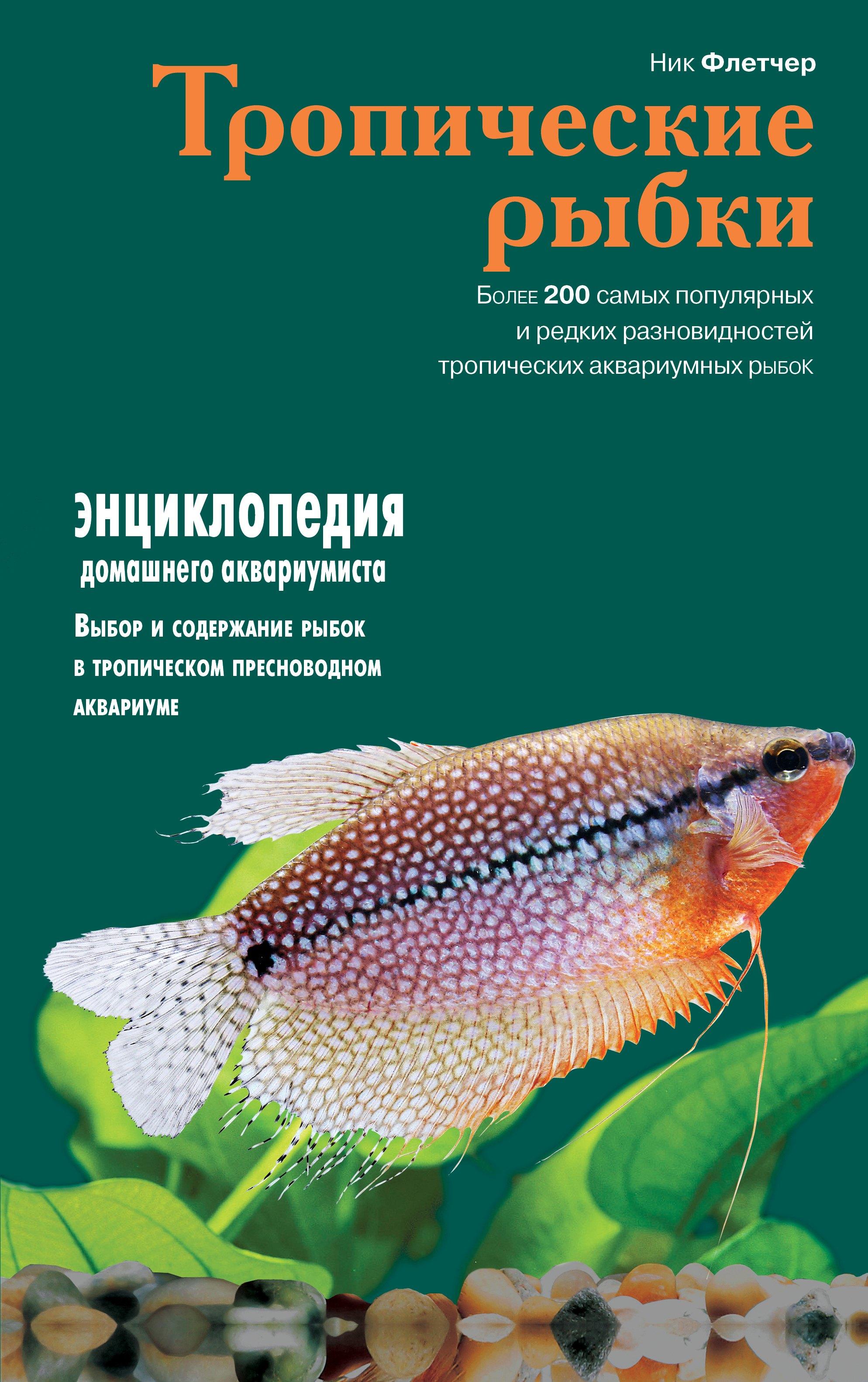 https://ndc.book24.ru/pim/products/images/b8/62/01907d06-7eac-7d27-adbb-b4c865d7b862.jpg