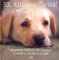 https://ndc.book24.ru/pim/products/images/b8/8a/0193930c-1b22-7656-b0be-ae18a709b88a.jpg