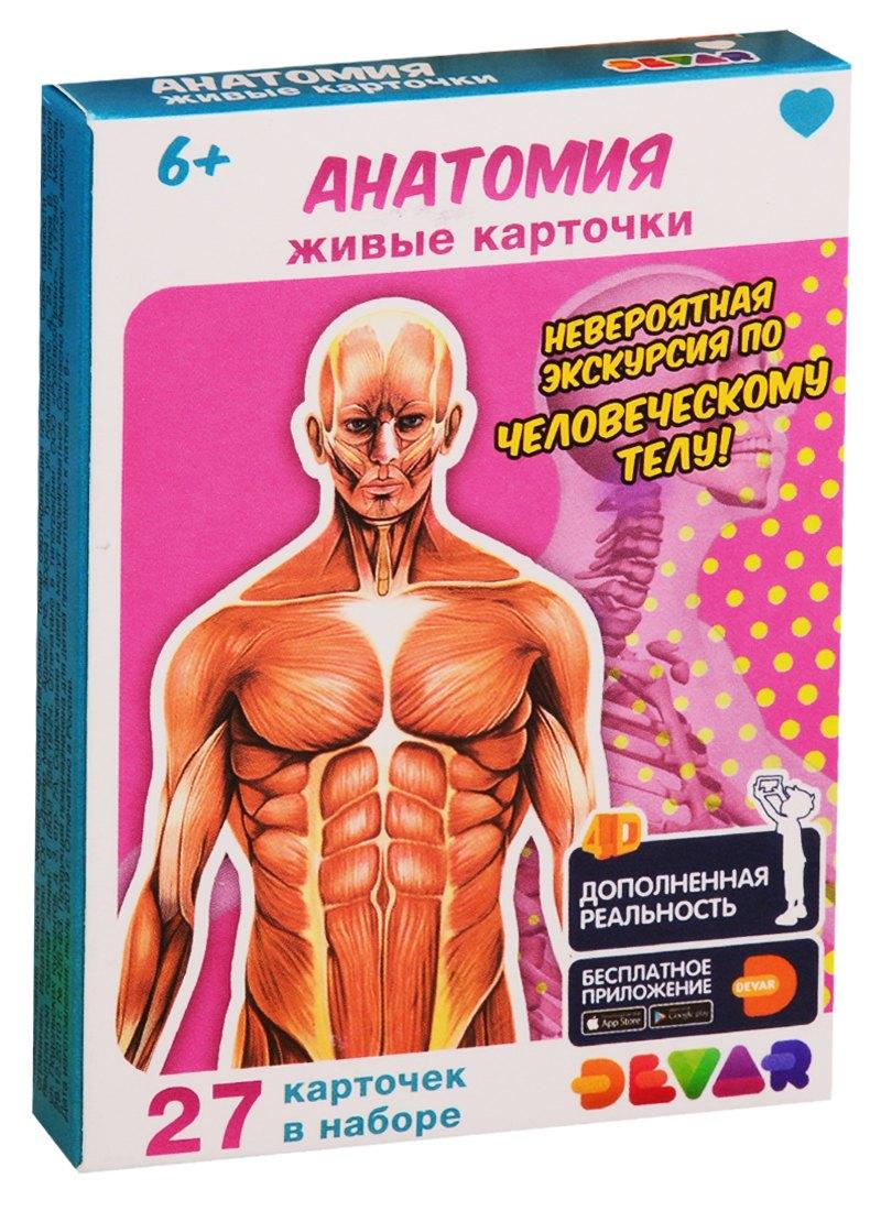 Devar Kids | Живые карточки. Анатомия