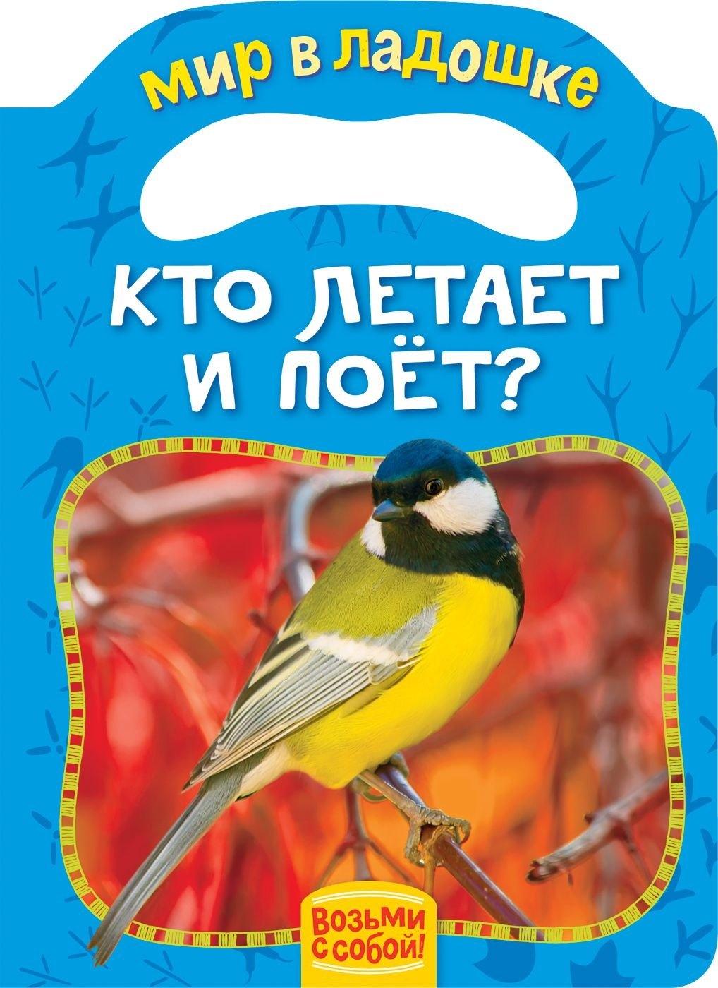 https://ndc.book24.ru/pim/products/images/bf/ee/018ee018-049a-73df-b1d0-5e91a165bfee.jpg
