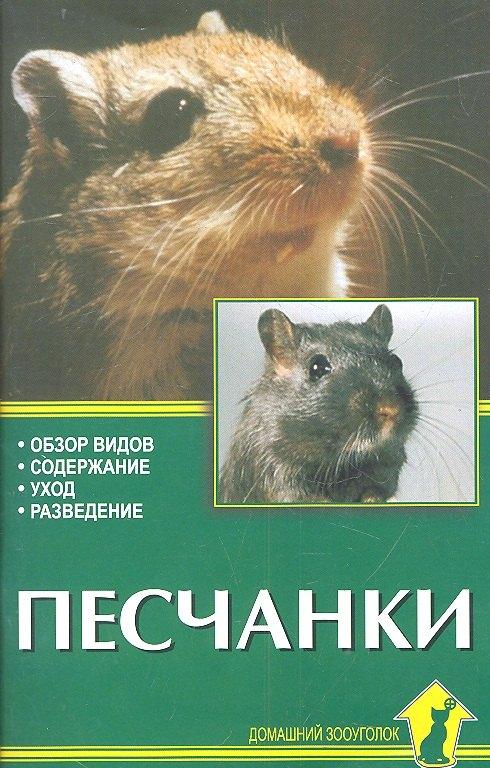 Аквариум | Песчанки. Обзор видов. Содержание. Уход. Разведение.