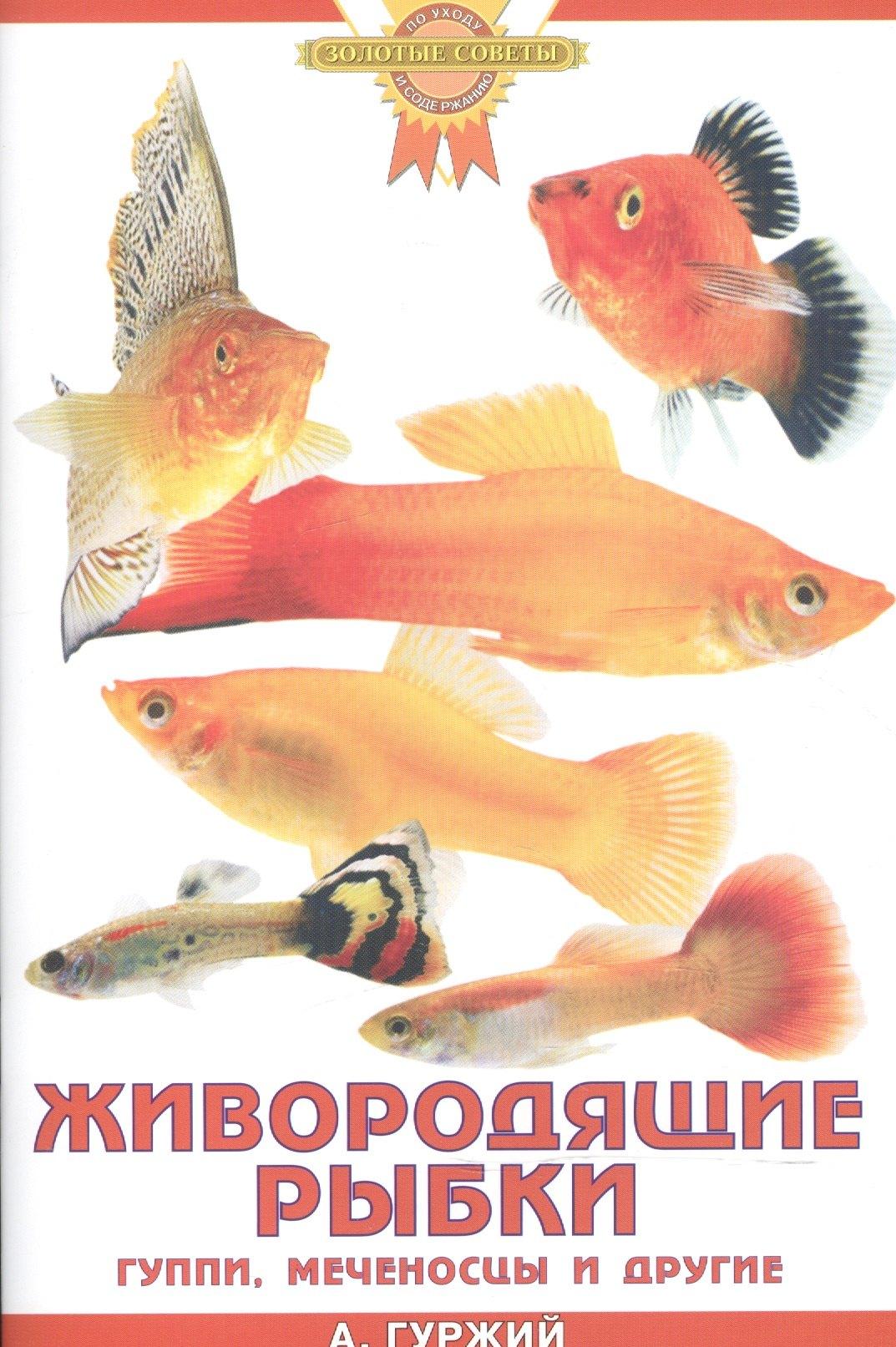 https://ndc.book24.ru/pim/products/images/c8/a8/018ed67b-c561-746c-8a34-d825041cc8a8.jpg