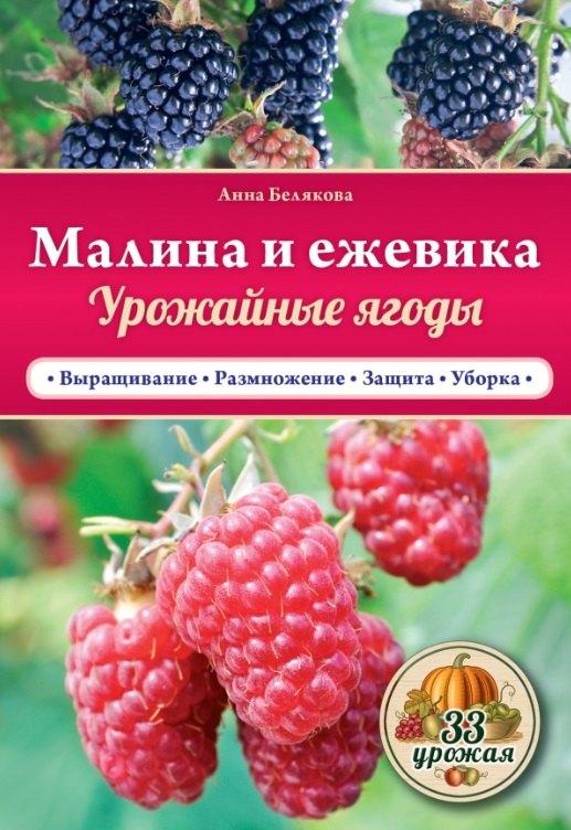https://ndc.book24.ru/pim/products/images/cb/38/018eda72-5097-77af-a629-81431ddecb38.jpg