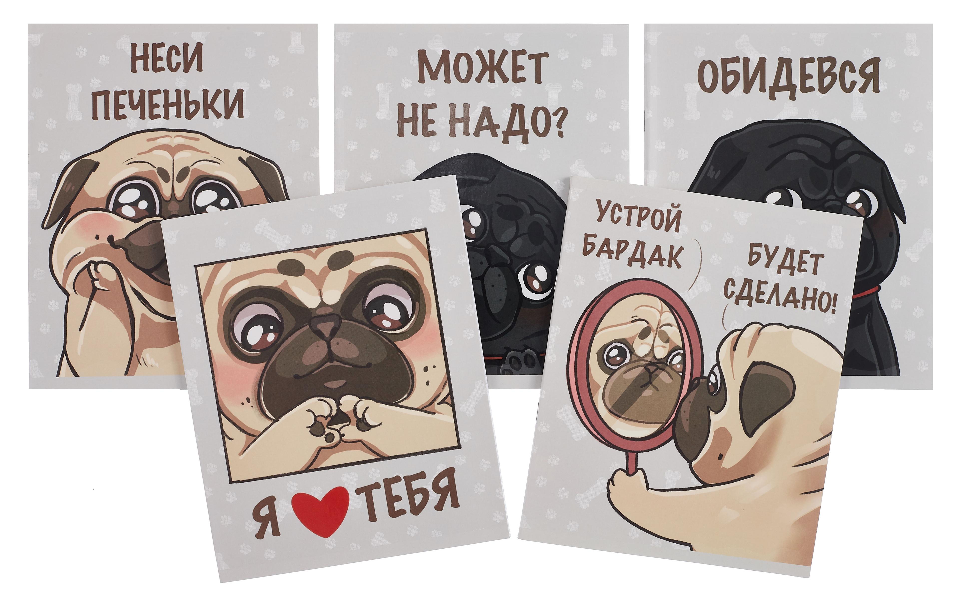 https://ndc.book24.ru/pim/products/images/cc/c5/0195f681-5a4b-7e8f-b138-8fc4d40dccc5.jpg