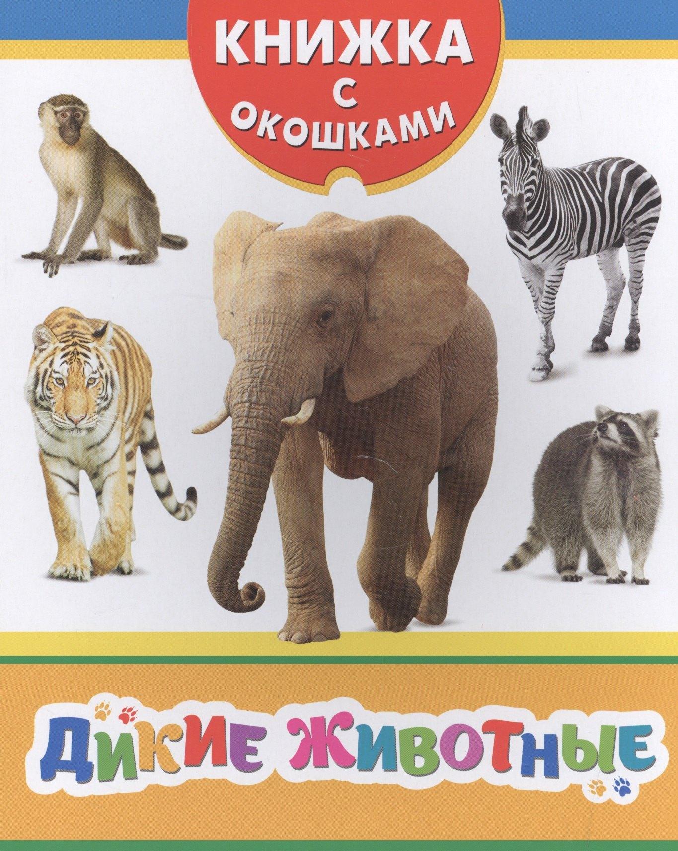 https://ndc.book24.ru/pim/products/images/cf/5e/018edb65-1975-7487-8ac8-56038921cf5e.jpg