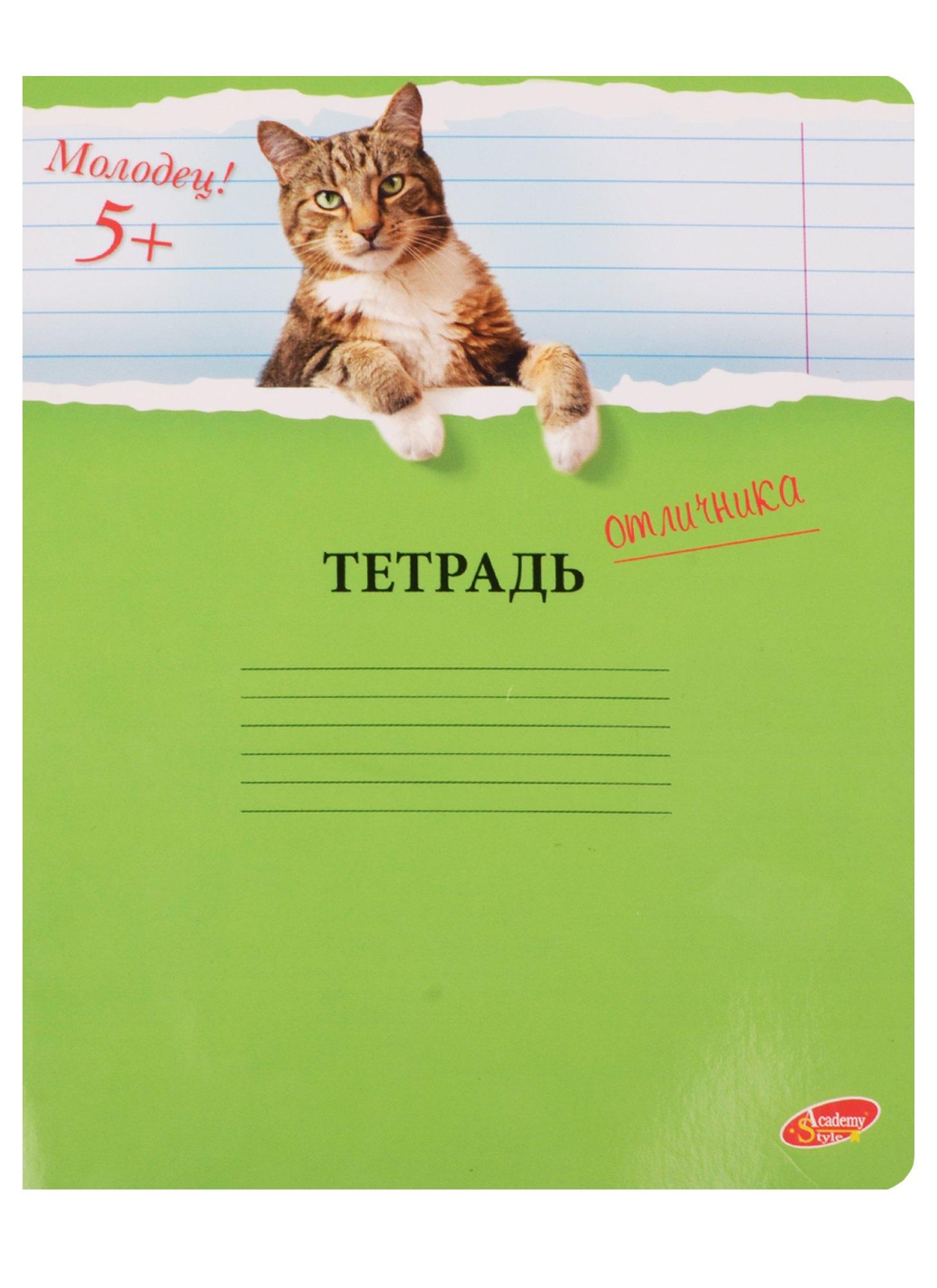 https://ndc.book24.ru/pim/products/images/cf/69/018ed331-602d-7992-8d08-c35fe26bcf69.jpg
