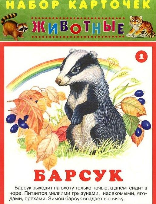 Либри пэр бамбини | Животные