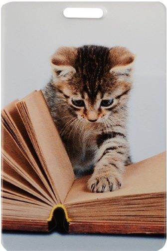https://ndc.book24.ru/pim/products/images/df/72/018edb87-6e40-7a1f-8803-cf1694cfdf72.jpg