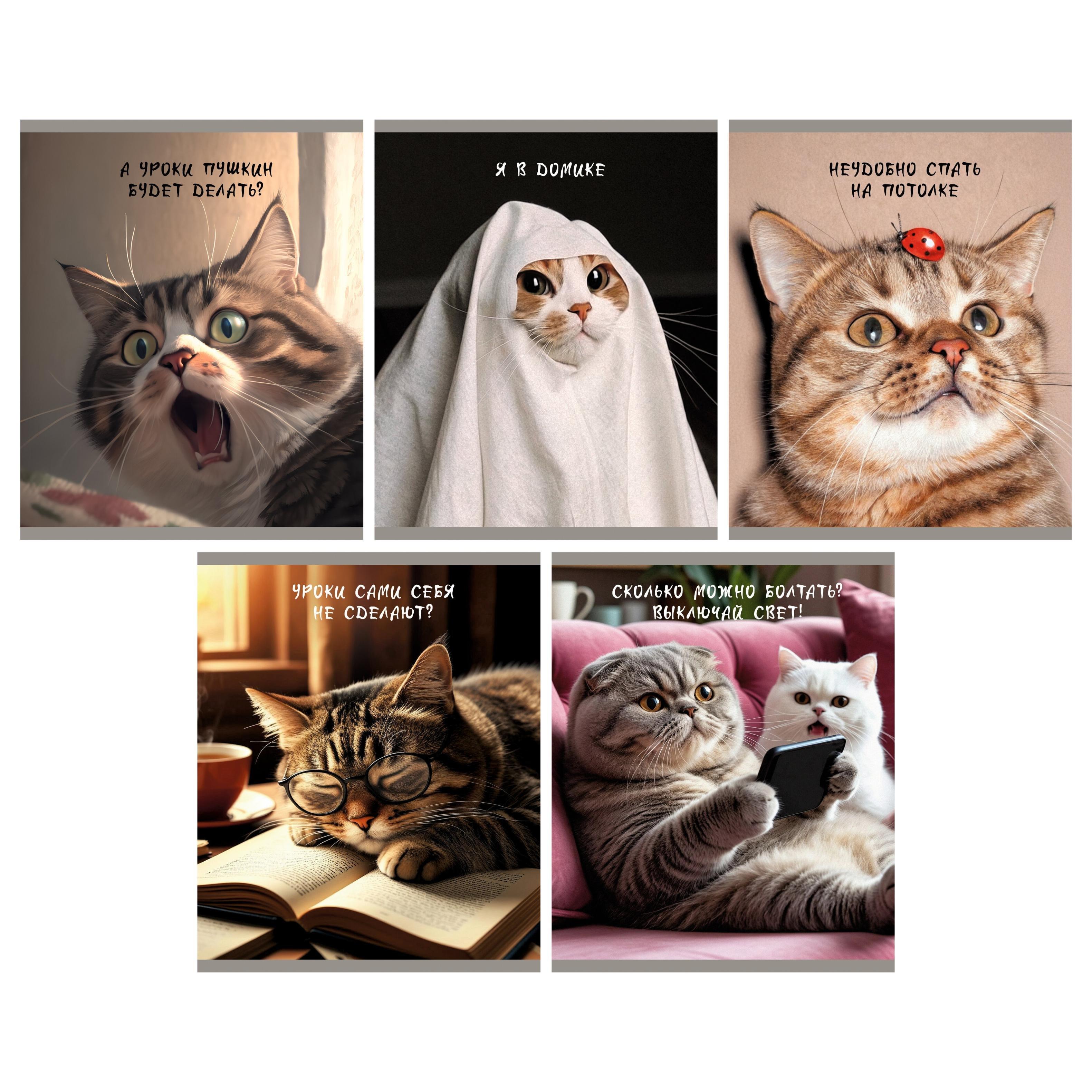 https://ndc.book24.ru/pim/products/images/e3/b0/019eb187-8066-733c-b708-b08317f5e3b0.jpg