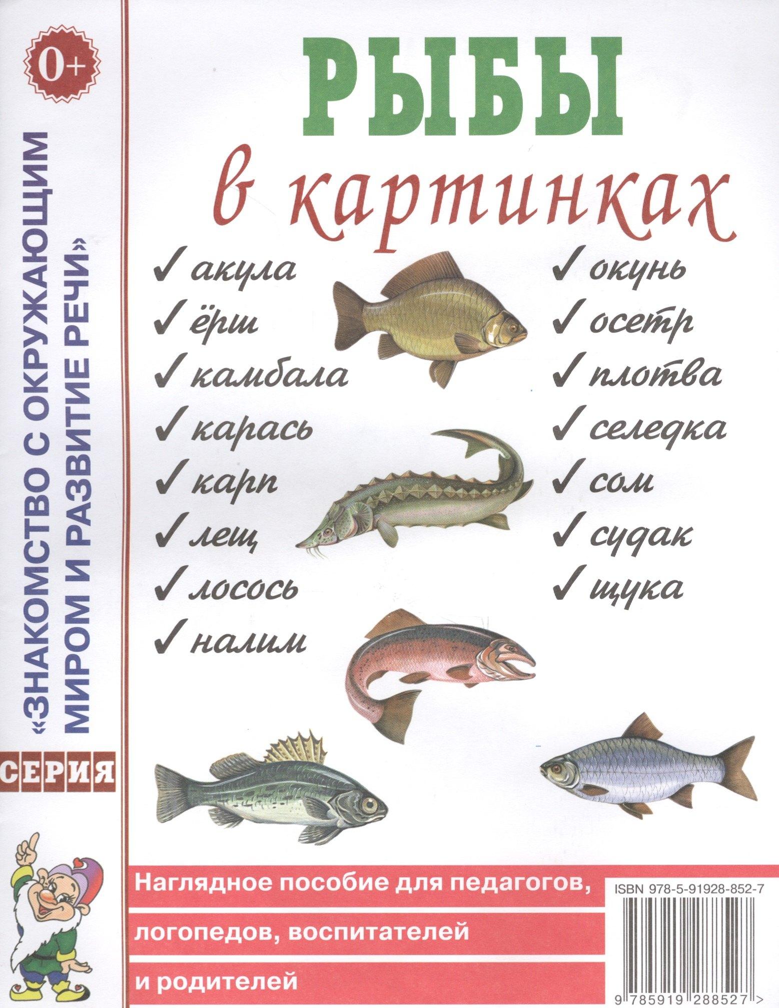 Гном | Рыбы в картинках. Наглядное пособие для педагогов, логопедов, воспитателей и родителей