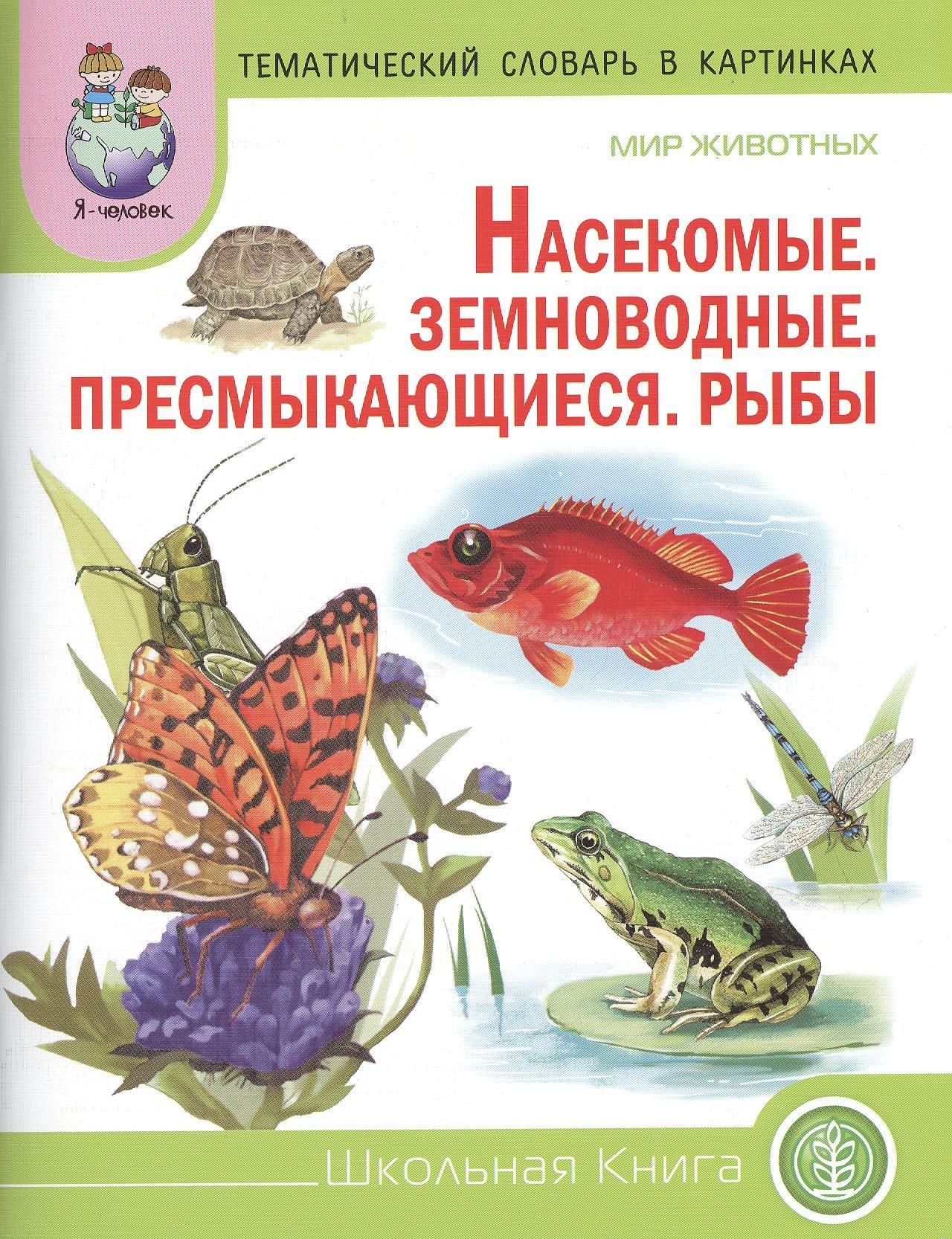 https://ndc.book24.ru/pim/products/images/e8/21/018ed8c4-d7e2-74f6-9abd-71b35dbae821.jpg
