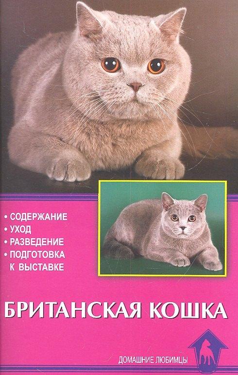 Аквариум | Британская кошка. Содержание. Уход. Разведение. Подготовка к выставке