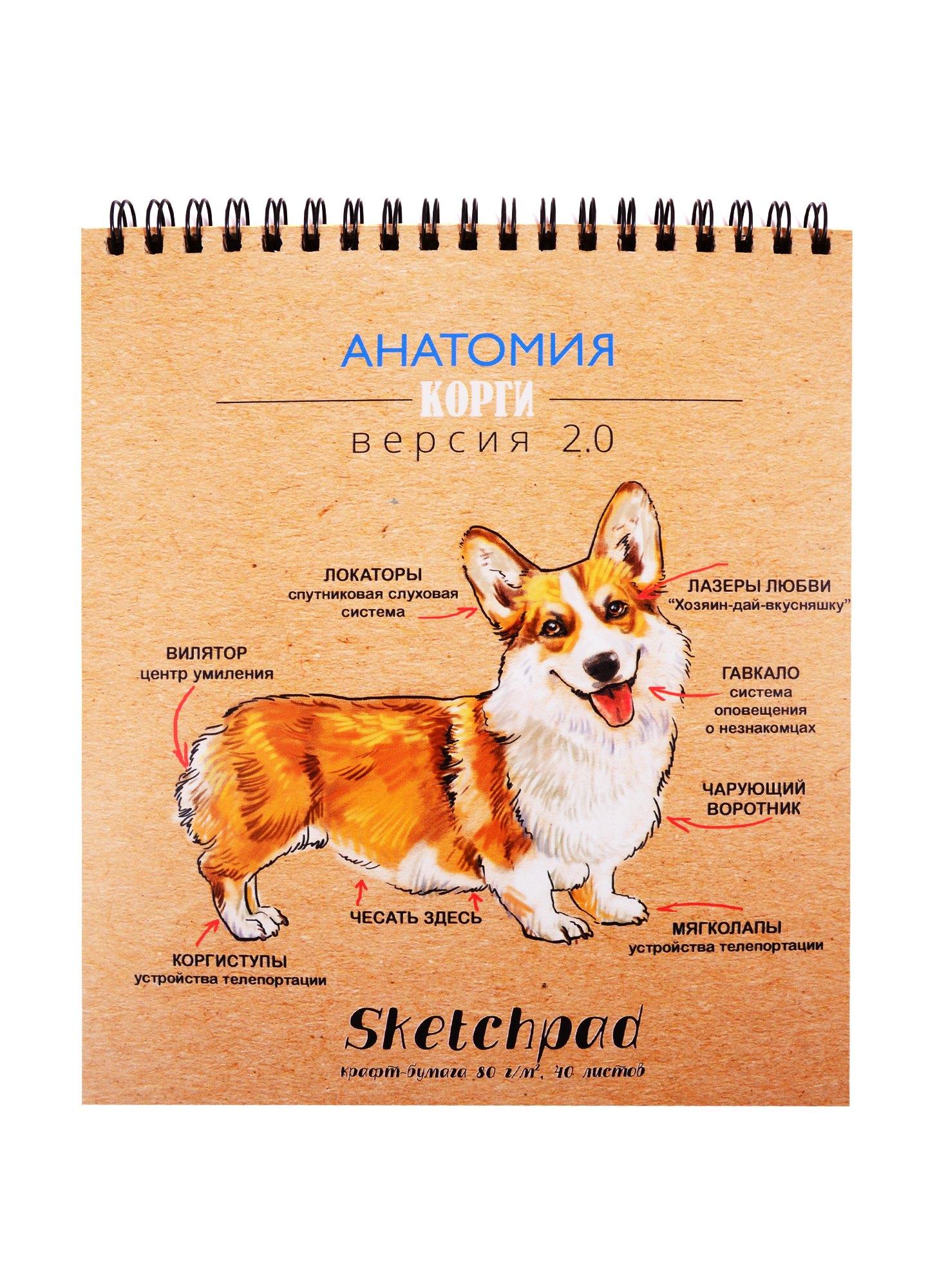 https://ndc.book24.ru/pim/products/images/ea/d2/018ed3a6-e30d-798f-bb31-cfe75b77ead2.jpg