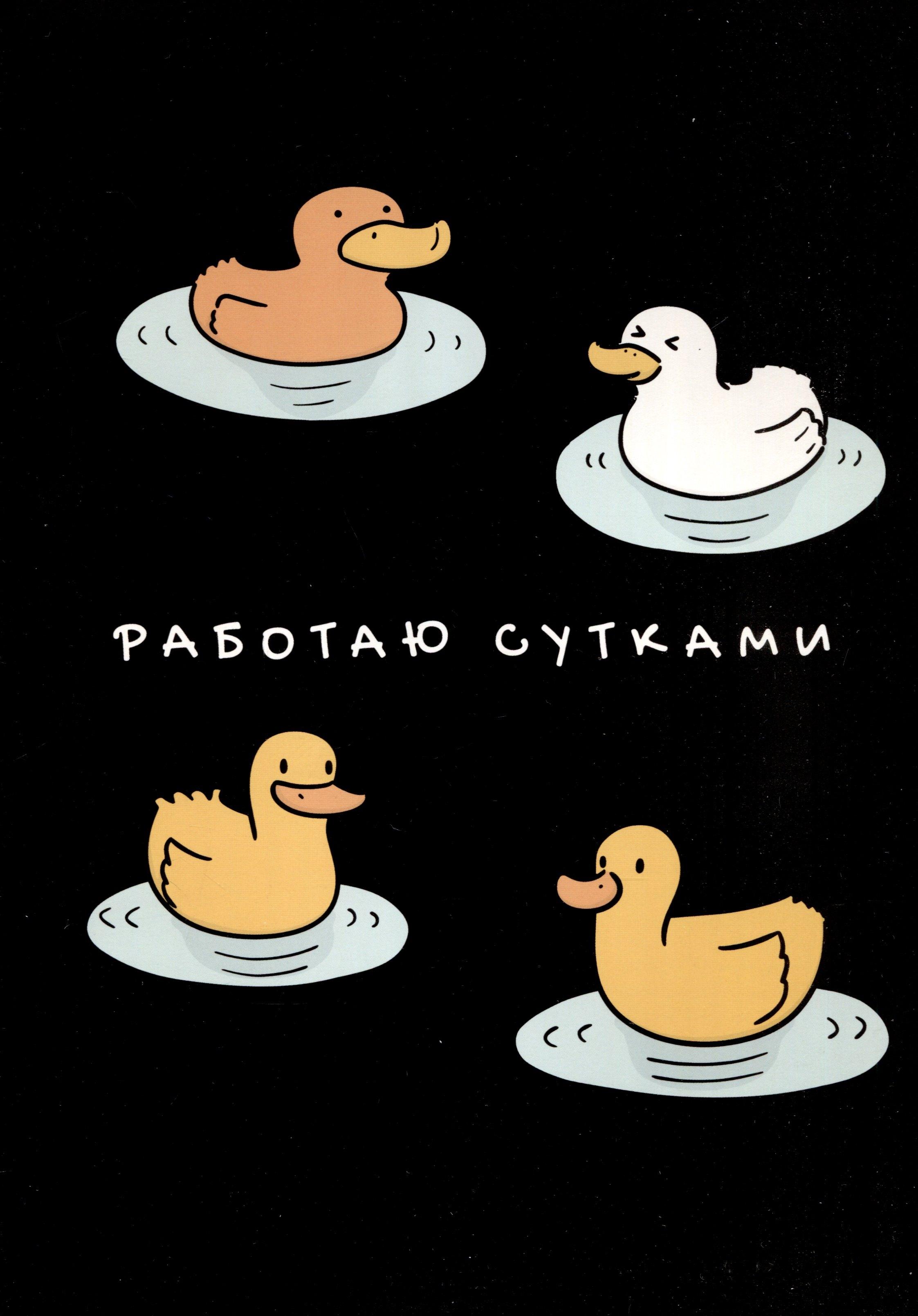 https://ndc.book24.ru/pim/products/images/ec/54/0195a4b5-ad43-7801-9e96-73f557eaec54.jpg