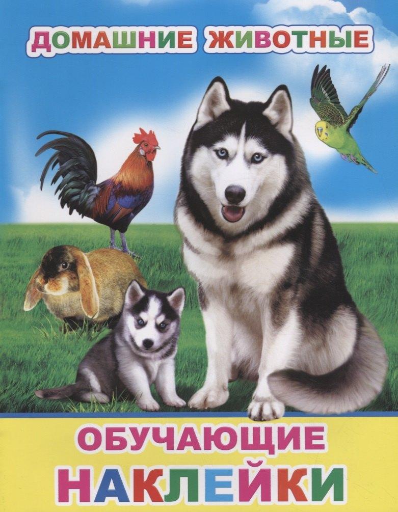 Алфея | Домашние животные. Обучающие наклейки