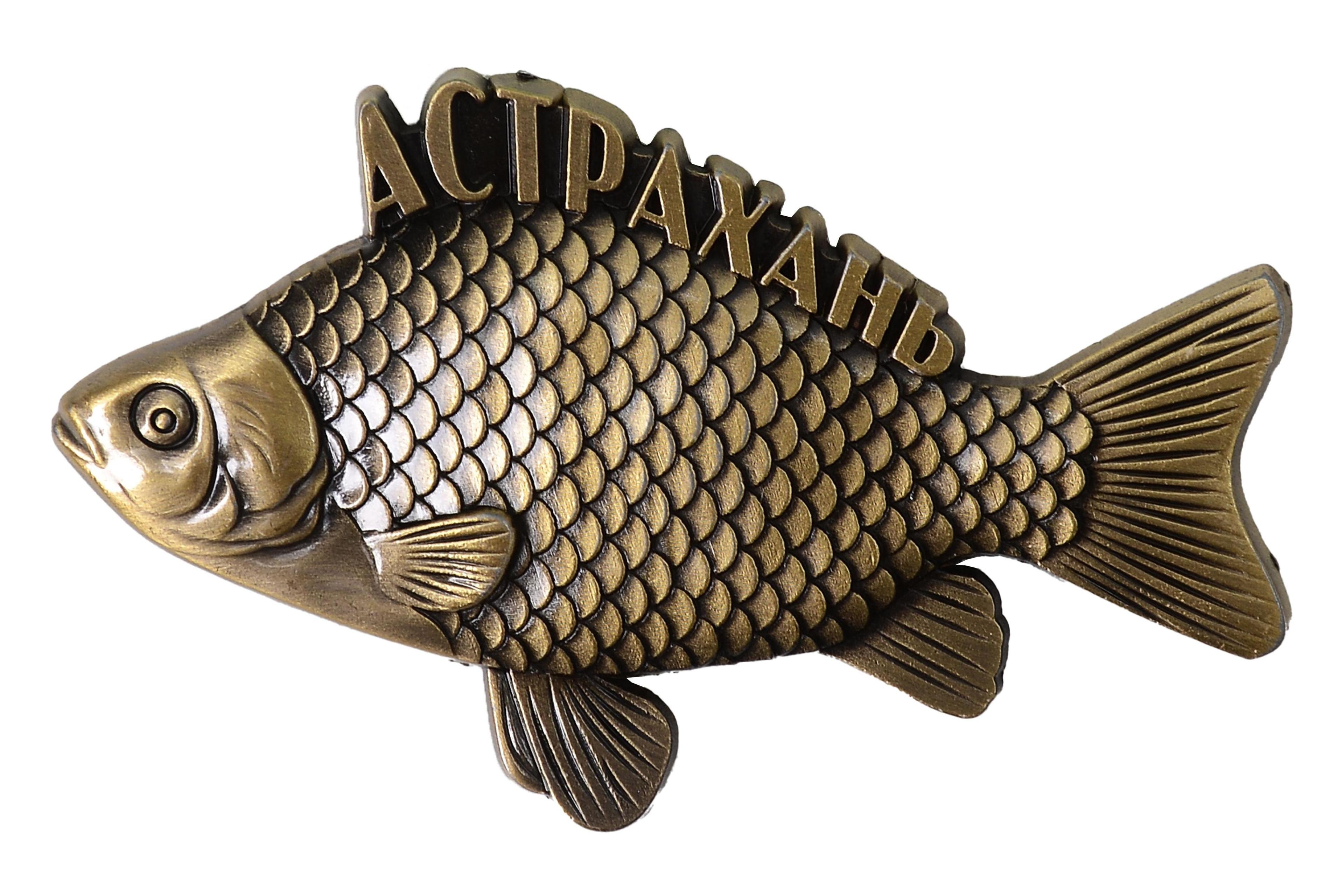 https://ndc.book24.ru/pim/products/images/ee/27/019c2231-538a-72b2-b670-522ea1e4ee27.jpg