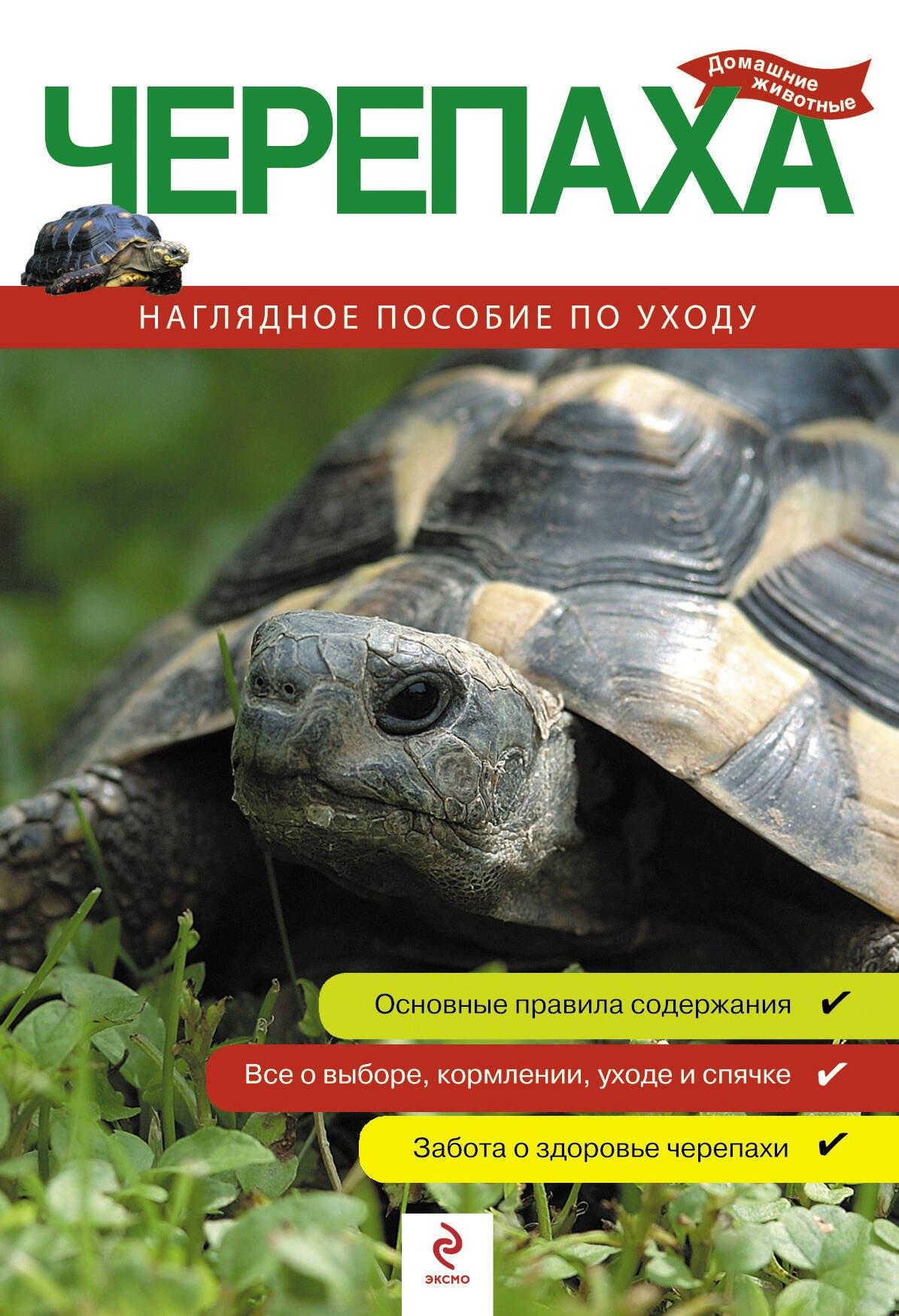 https://ndc.book24.ru/pim/products/images/ee/43/0199ed16-93b6-783d-bb9b-bf11cc27ee43.jpg