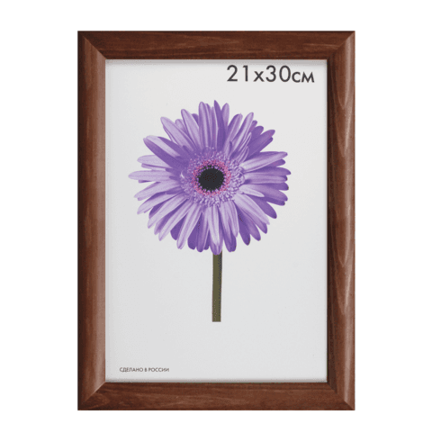 https://ndc.book24.ru/pim/products/images/f3/20/01970e60-cad7-7154-9644-672b5ac9f320.jpg