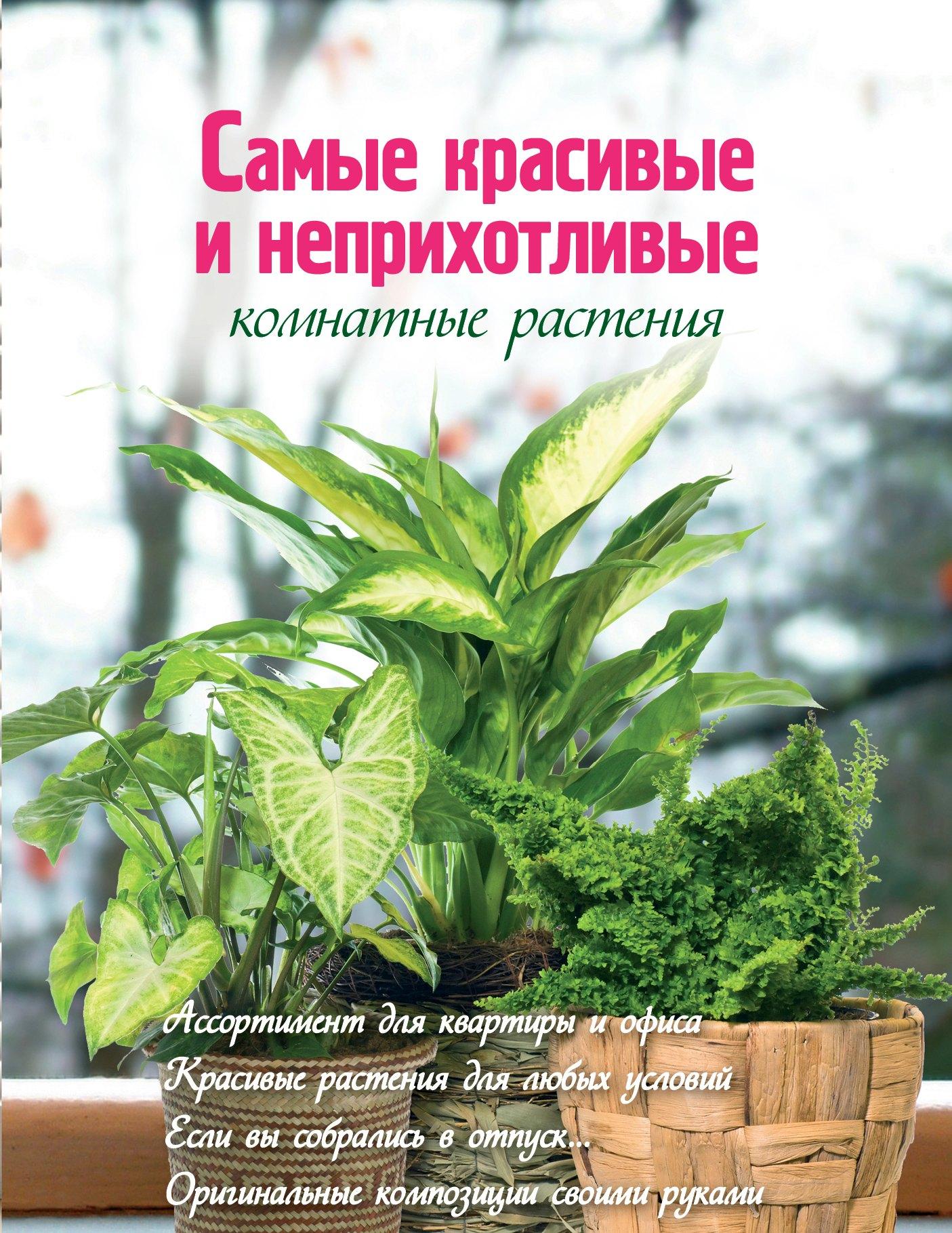 https://ndc.book24.ru/pim/products/images/f6/9e/01907cda-793b-719b-b017-4eab8fc9f69e.jpg