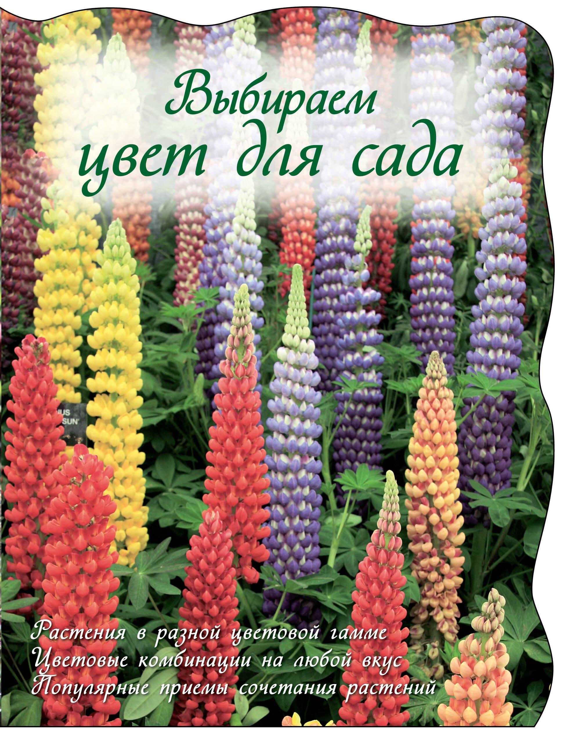 https://ndc.book24.ru/pim/products/images/f7/4d/0199ed03-7f5c-7ba4-8f7e-cd8d1f6ef74d.jpg