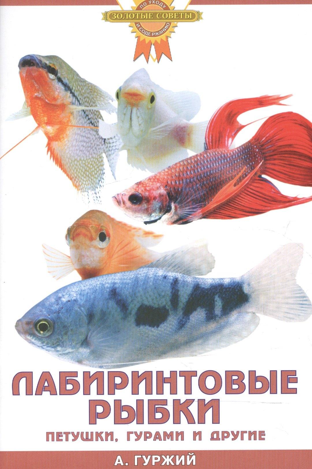 https://ndc.book24.ru/pim/products/images/fc/ec/018ed67b-c3db-73c8-a48a-737b95fffcec.jpg