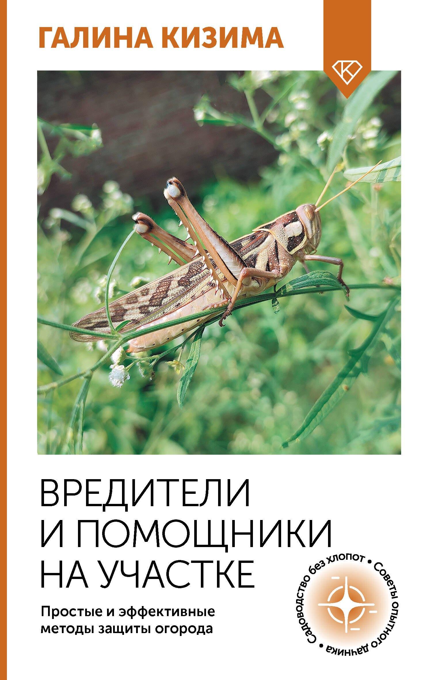 https://ndc.book24.ru/pim/products/images/fe/57/0194cfde-c238-7683-84f8-fc0d40defe57.jpg