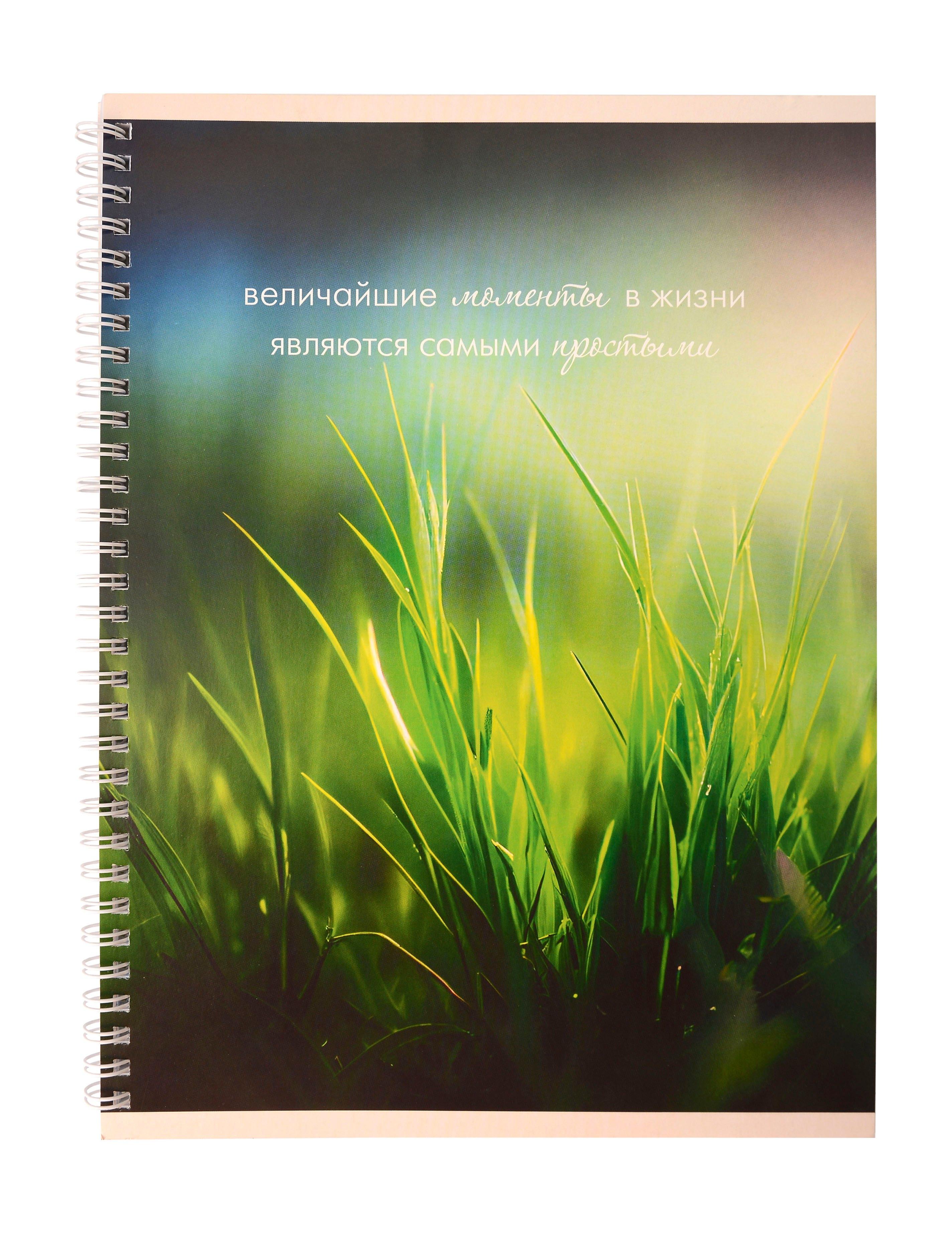 https://ndc.book24.ru/pim/products/images/fe/c1/01987aba-cc4a-7d48-9f69-70d123c7fec1.jpg