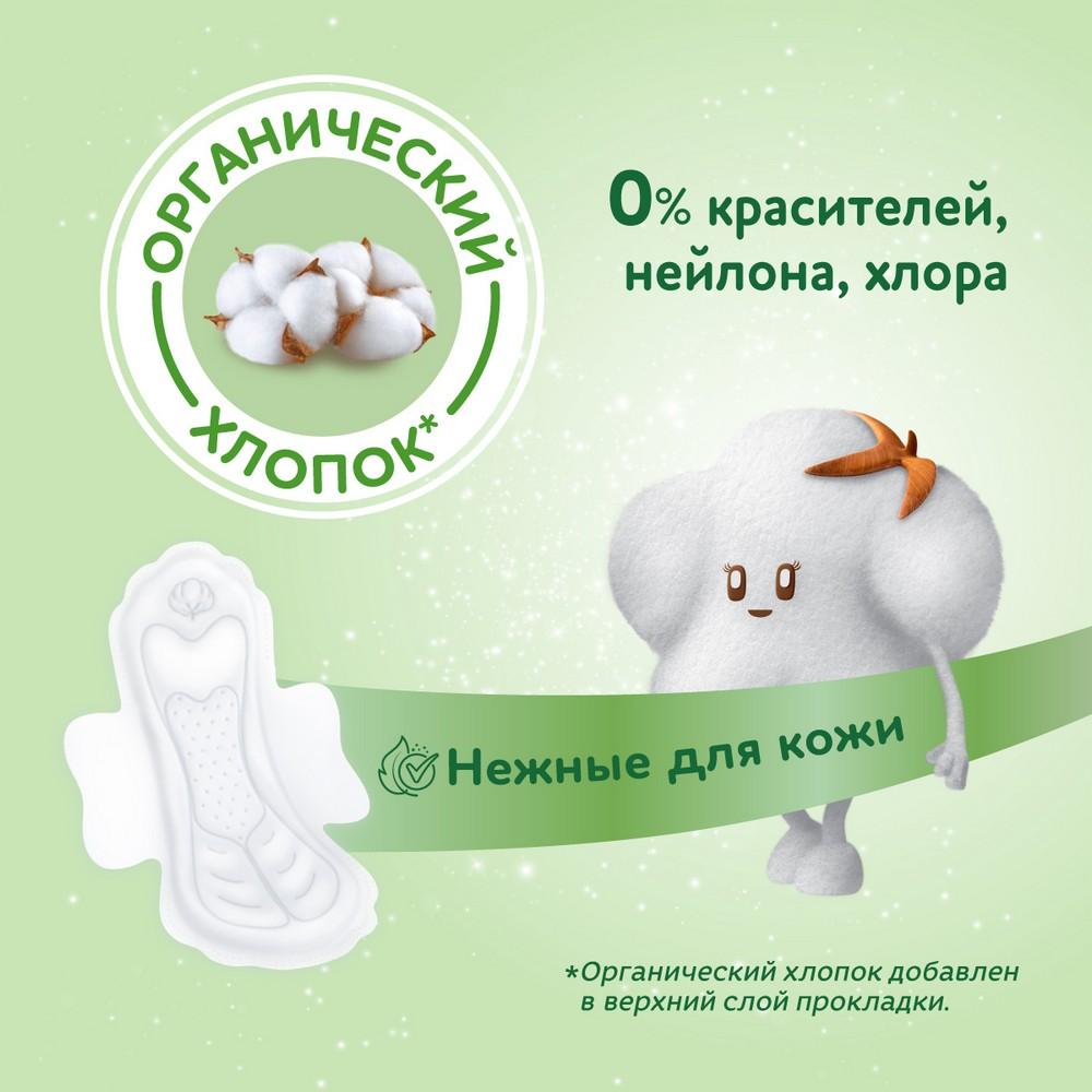 https://s.fstorage.cm.tdera.ru/img/0e8e/8d/f1c300d9f6ad453aada708dff314f88b1259a9ab.jpeg
