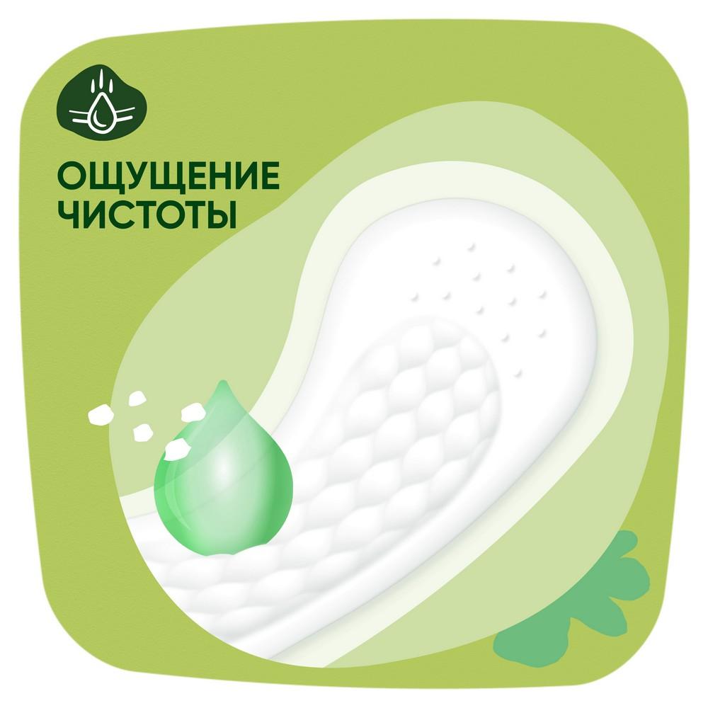 https://s.fstorage.cm.tdera.ru/img/21a8/1e/8385194384307be05a9b6bdb8c0d86af118471d1.jpeg
