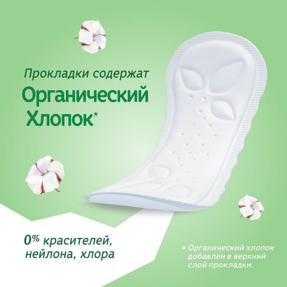 https://s.fstorage.cm.tdera.ru/img/4a7e/60/f3a78dca2e2ea770d71ebe70abaa82bd208fa603.jpeg