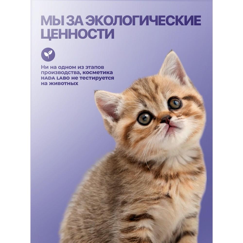 https://s.fstorage.cm.tdera.ru/img/e811/13/7641f28908f7c355faf5ddfb805d94e751edcb23.jpeg