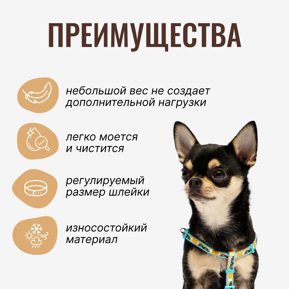 https://storage.yandexcloud.net/pim-core/377483.jpeg