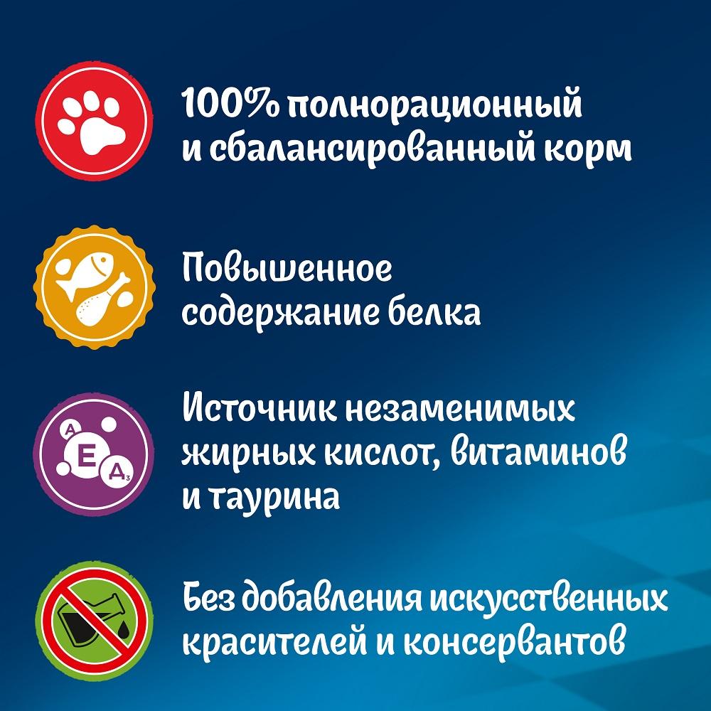 https://storage.yandexcloud.net/pim-core/dbpim-prod_96599.jpg