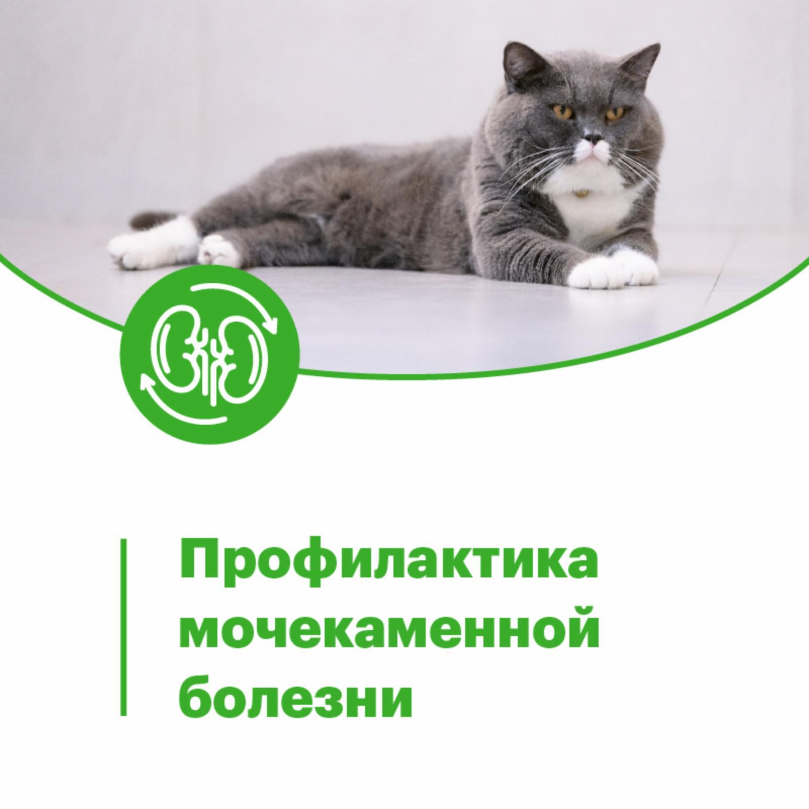 https://9ep5rgpevc.a.trbcdn.net/prd-jav-crm-content/viewContent/103544/1600/1f3a7633-bda9-4322-a91a-dc5e9137a413.jpg