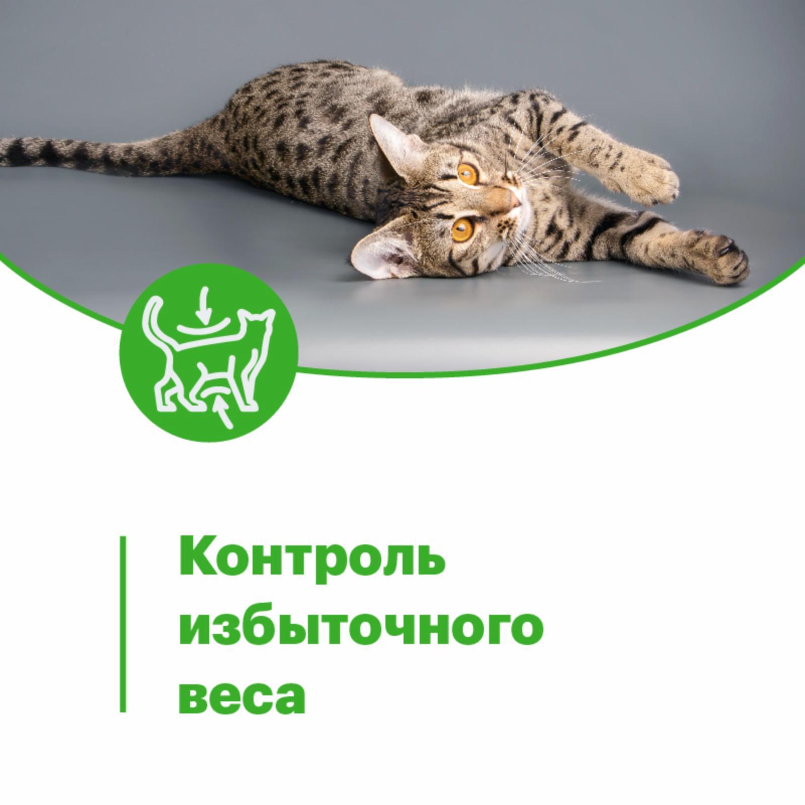 https://9ep5rgpevc.a.trbcdn.net/prd-jav-crm-content/viewContent/103544/1600/ac268134-127b-4ff0-bccc-11e49c4f82e8.jpg