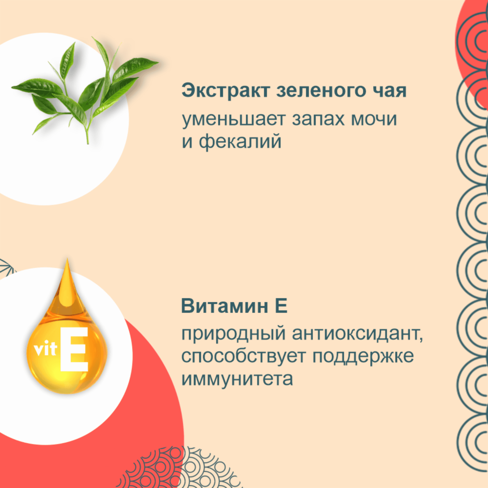 https://9ep5rgpevc.a.trbcdn.net/prd-jav-crm-content/viewContent/106205/1600/47f8ea0a-1f0b-49e1-afc7-552295c44445.png