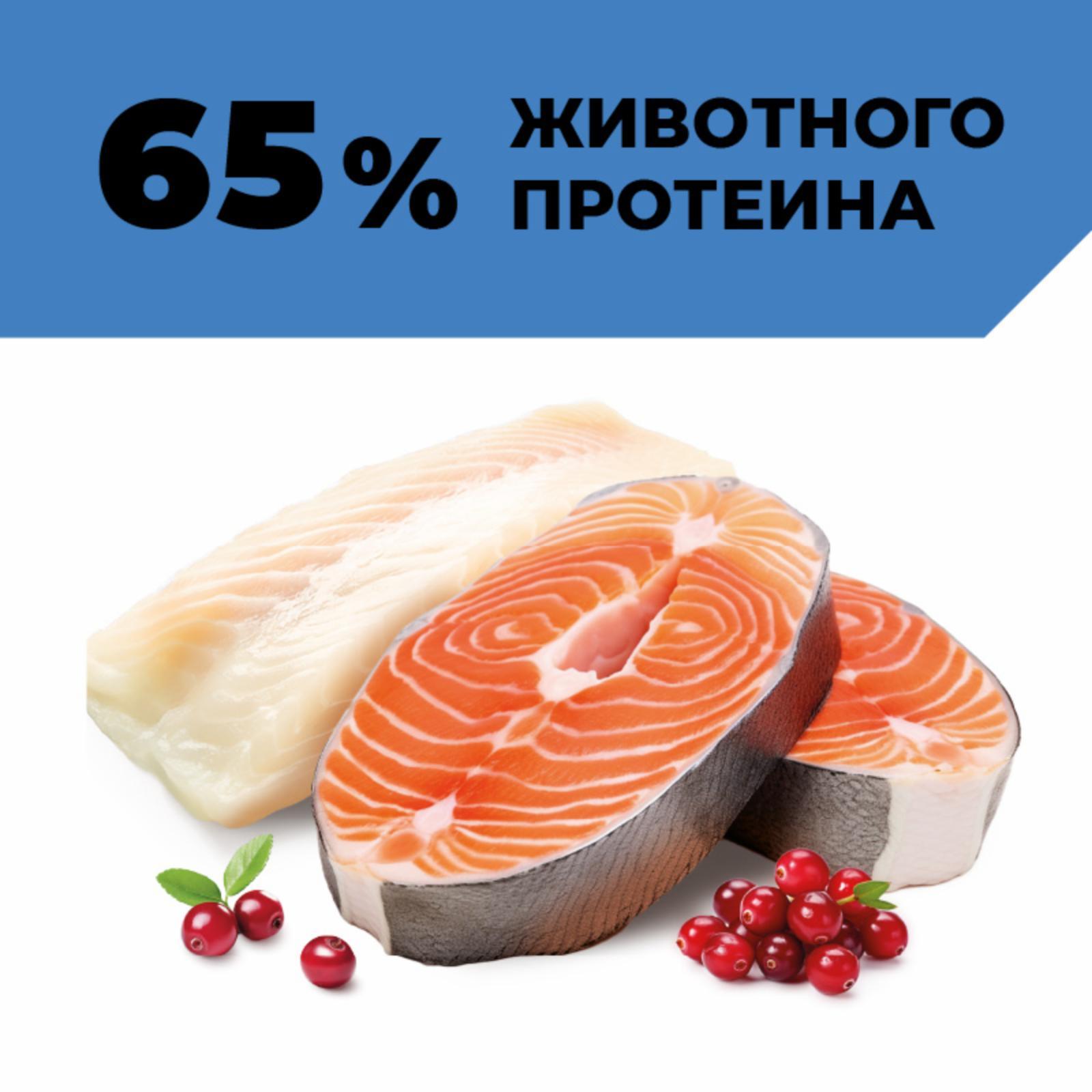 https://9ep5rgpevc.a.trbcdn.net/prd-jav-crm-content/viewContent/123094/1600/65a42f43-19bf-497d-97a0-fbc86fefe178.jpg