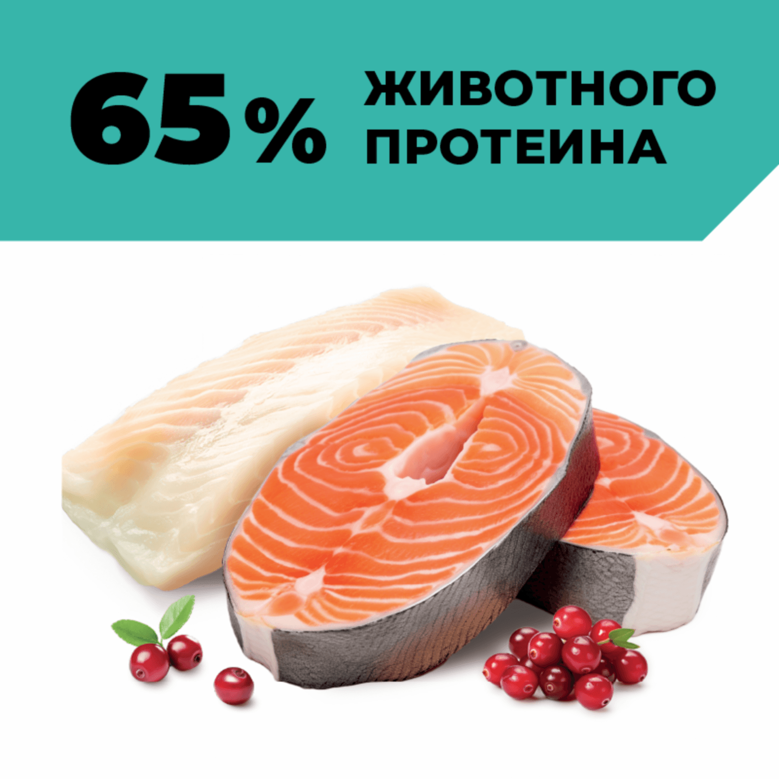 https://9ep5rgpevc.a.trbcdn.net/prd-jav-crm-content/viewContent/125283/1600/3e066dbc-c446-40cc-af30-1b7db4186f85.png
