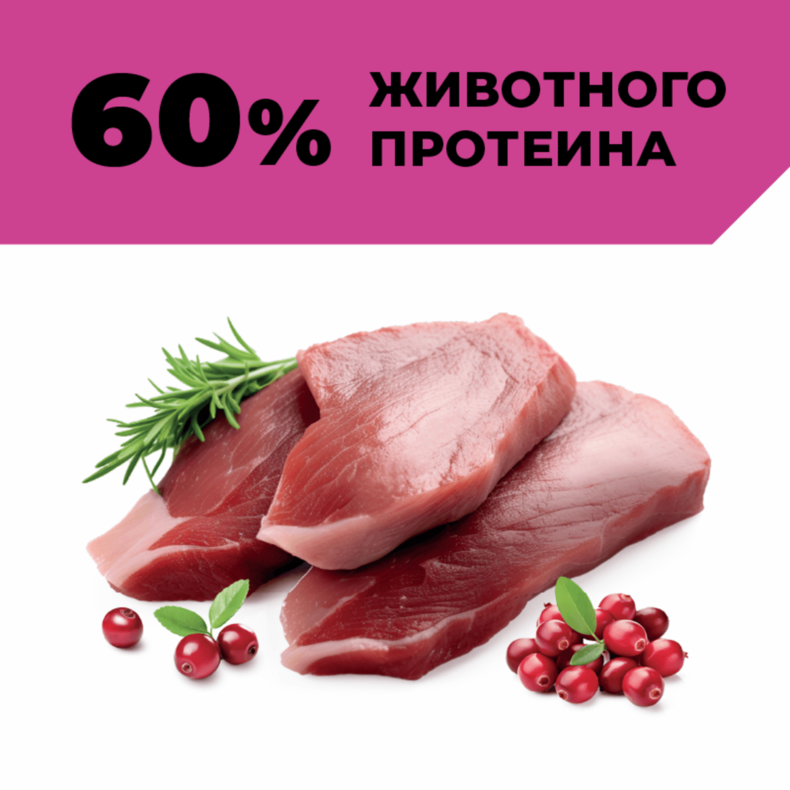 https://9ep5rgpevc.a.trbcdn.net/prd-jav-crm-content/viewContent/125289/1600/bf794485-31b5-45ca-a63d-1a7649499a39.png